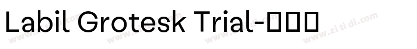 Labil Grotesk Trial字体转换 Labil Grotesk Trial字体转换